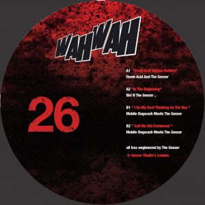 wahwah026 - Crazy Acid Techno Nutters (MOTTLED BROWN VINYL LIMITED REPRESS)